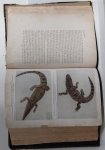 Ditmars, raymond lee - reptilebook a comprehensive, popularised work on the structure and habits of turtles and tortoises, crocodilians, lizard, snakes  inhabiting the United States and northern Mexico,