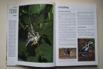 Bruins, Eugene - Geillustreerde Terrarium Encyclopedie reptielen, amfibieen, spinnen, insecten- overzichtelijk per soort gerangschikt  Alles Over VOEDING, HUISVESTING, BEHANDELING, ZIEKTEN, Zelf Kweken