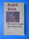 Brink, André - Het eerste leven van Adamastor