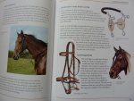 Vernon, Hilary - The Allen illustrated guide to Saddlery