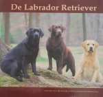 De Nederlandse Labradorvereniging - De labrador retriever