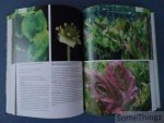 Christel Kasselmann. - Aquariumplanten. Alle soorten uit de praktijk.