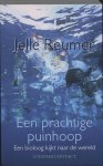Jelle Reumer - Prachtige Puinhoop