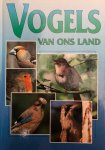 Roger Arnhem 66865 - Vogels van ons land