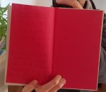 Biermann, Wolf - Verdrehte Welt - das seh' ich gerne - Lieder / balladen / Gedichte  / Prosa - GESIGNEERD