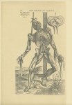 Sebass, Adolf/ Tschichold, Jan - Vesalius