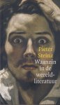 Steinz, Pieter - Waanzin in de wereldliteratuur