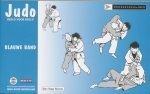D. Boersma - Judo / 2e Kyu blauwe band / Beeld voor beeld