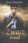 Emili Teixidor - Zwart brood Roman over de verwoestende gevolgen van de Spaanse Burgeroorlog door de ogen van een onschuldig kind