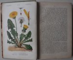 Boerman J.W. en Knip K.M. - Natuurlijke Historie Beknopt Leerboek der Dier- en Plantkunde Deel II Plantkunde
