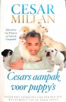 Millan , Cesar . & Melissa Jo Peltier . [ ISBN 9789048820924 ] 0422 - Cesars Aanpak voor Puppy's . ( Vanaf het uitkiezen van een pup tot het puberen van de jonge hond . )   Alle ervaringen en kennis die Cesar Millan opdeed met puppy's deelt hij in dit boek. Van het werken met regels, grenzen en beperkingen tot de -