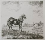 Moorrees, Christiaan Wilhelmus (1801-1867) - [Antique print, etching] Landscape with three horses.