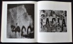 Chiarenza, Carl - Aaron Siskind / Pleasures and Terrors