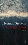 Herman Stevens - Chateau Désir
