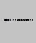  - Geschiedenis van de literatuur in Limburg