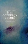 Geybels, Hans - Het goddelijk gevoel. Een geschiedenis van de religieuze ervaring.