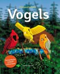 Thomas Poulsom - Vogels