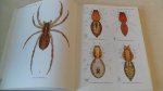 Roberts Michael J. - The Spiders of Great Britain and Ireland   - Colour Plates -