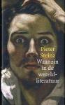 Steinz, Pieter - Waanzin in de wereldliteratuur