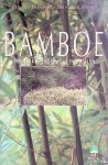 Doesburg, Jan van & Hans van Biemen - Bamboe: een verrassende plant in uw tuin