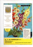  - Nursery catalogue A. J. van Engelen Hillegom spring 1969
