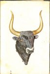 NELLES GUIDE met 100 kleuren foto's - KRETA m.o.a geschiedenis en cultuur  * *reizen op kreta * wegwijzer; hotels,restaurants,musea * *THEMA'S* flora en fauna *grotten*de kretenzische keuken*druiven en olijven*byzantijnse kerken * verder veel praktische tips