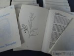 Groenestijn, Frits. - Introduktiekursus Homeopathie (deel A1 t.e.m. A3) en Basiskursus Homeopathie (deel B1 t.e.m. B18).