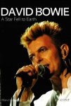 Wim Hendrikse - David Bowie, A Star Fell To Earth