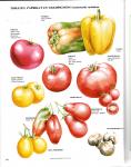 Saulles, Denys de - Het complete tuinboek. Voor het zelf kweken van groenten, fruit en kruiden.