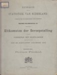 Staat der Nederlanden - Uitkomsten der Beroepstelling in het Koninkrijk der Nederlanden 1899 Provincie Friesland