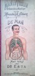 Esta, Dr. - Man en Vrouw: verplaatsbare afbeeldingen van het menschelijk lichaam: 1: de man