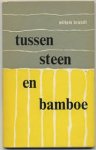 willem brandt, - tussen steen en bamboe