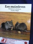 Fischer-Nagel, Heiderose en Andreas - Een muizeleven / druk 1