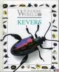 STILL, John - De wondere wereld van de kevers. STILL, John - De wondere wereld van de kevers.