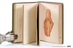 Bollinger, O. - Atlas und Grundriss der Pathologischen Anatomie. I. Band. Zirkulations-, Respirations- & Digestionsapparat, sowie Leber, Gallenwege und Pankreas. Mit 82 farbigen Abbildungen auf 72 Tafeln nach Originalen von Maier A. Schmitson und 32 Textillus...