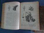 A.-E. Brehm et Paul Constantin. - Merveilles de la Nature. Les plantes. Le monde des plantes. Vol. 1 et 2.