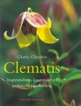 Chesshire C. - Clematis