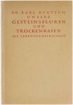Dr. Karl Bertsch - Unsere Gesteinsfluren und Trockenrasen als Lebensgemeinschaft