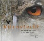 S. Halewijn - Uilenvlucht het geheimzinnige leven van de uil