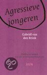 Gabriel Van Den Brink - Agressieve Jongeren