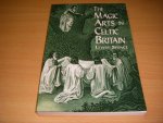 Lewis Spence - The Magic Arts in Celtic Britain