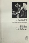 Didier Cailleteau - Le paradoxe de la colombe