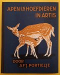 PORTIELJE, AFJ. - Apen en hoefdieren in Artis.
