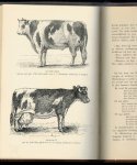 DYKSTRA, Waling - onbekende  uitgave van A. Bruis Uit Friesland's volksleven van vroeger en later. Volksoverleveringen, volksgebruiken, volksvertellingen, volksbegrippen. Eerste deel