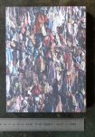 Boogert , pieter van den - what we wear