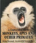 Kavanagh, Michael - A Complete Guide to Monkeys, Apes and other Primates