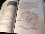 Camp, John M - The Acheology of Athens