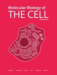 Bruce Alberts, Alexander Johnson - Molecular Biology Of The Cell