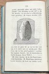  - School Book, 1845-1846, Periodical | De Gids der Jeugd. Godsdienstig-Wetenschappelijk Tijdschrift voor het Aankomend Geslacht. Amsterdam, H. Höveker, 1845-1846, set of 2 parts.