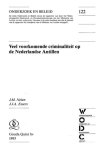 Nelen - Veel voorkomende criminaliteit op Nederlandse Antillen